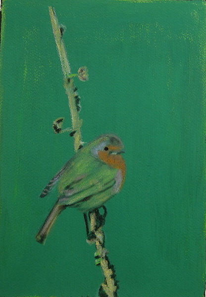 European Robin Brighton $80