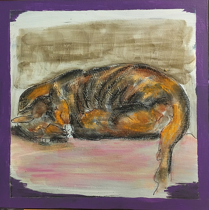 Kitty on the Couch. Amsterdam $100