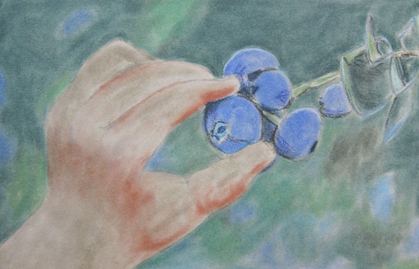 Picking Fruit. Pastel $54