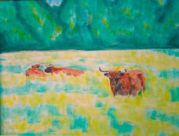 Summer Pasture $80