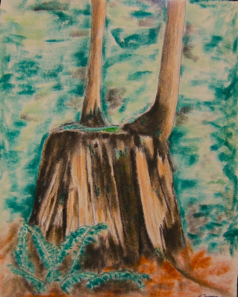 The Two of Us. $80